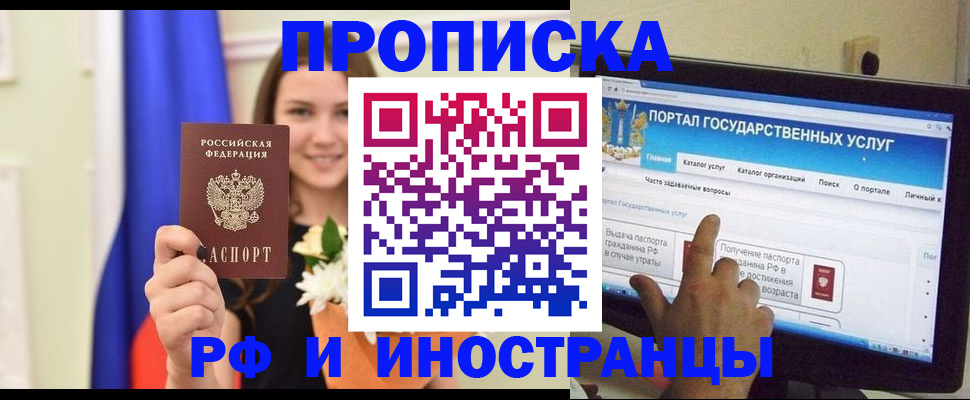 прописка 2025 в Сольцах